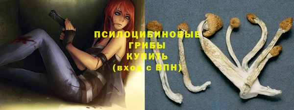 круглые Белокуриха